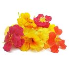 S980136211 Sid Wainer And Son Edible Nasturtium Blossoms Garnish Ct