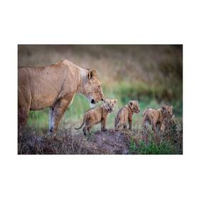 Trademark Fine Art 194189794932 Ftwhen Are We Stopping For Dinnerft Canvas By Jeffrey C Sink