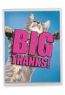 1 Jumbo You Greeting Card - Cat Big Thanks J2368DTYG. Fixed Price $9.98.