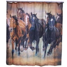 Collections Western Running Horse Wild Mustang Herd. Fixed Price $35.94.