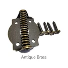 Spring Hinge Antique Brass Finish Cabinet Door - Sold By The Pair. Fixed Price $20.79.
