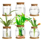 Beeveer 6 Pcs Plants Propagation Station Separated Desktop Terrarium Wi.... Fixed Price $42.92.