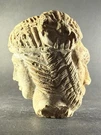 Ancient Roman Janiform Janus Deity Of Transformations Beginnings Ca 100BC-300AD. Fixed Price $571.80.