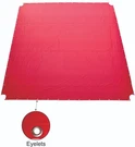Professional Wrestling & Boxing Ring Canvas 16FT. Fixed Price $250.00.